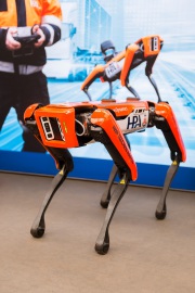 HHIS 2025 2